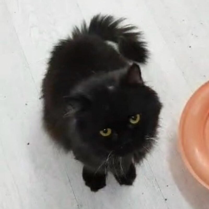 Luna & Albert
