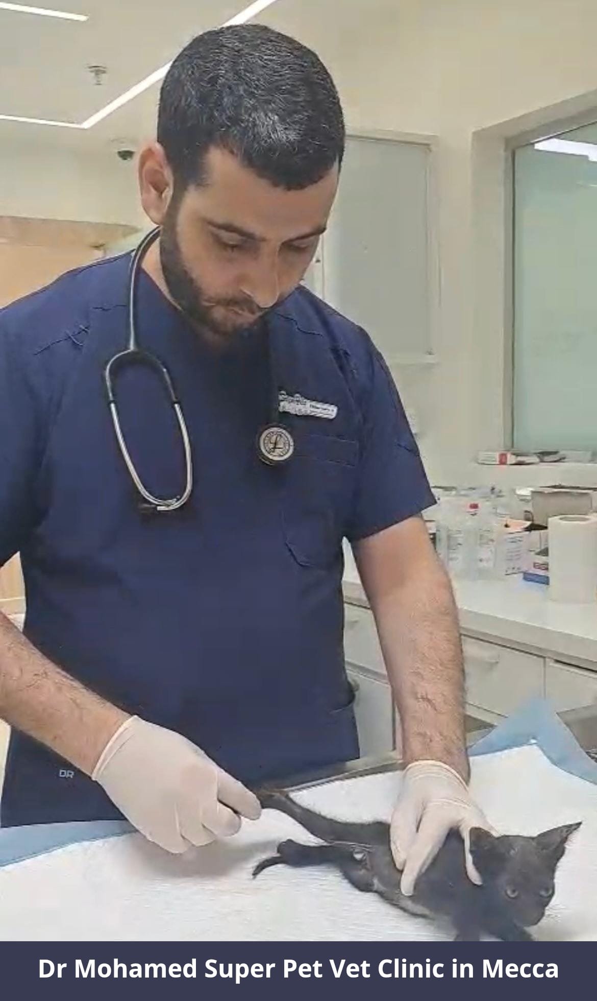 WhatsApp Image 2025-08-12 at 23.12.10